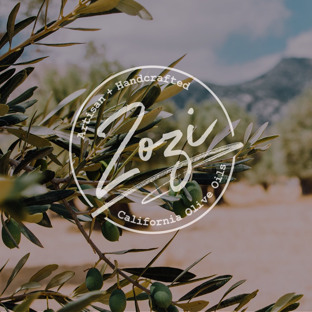 Bulk Oils & Balsamics – Zozi Olive Oil Company